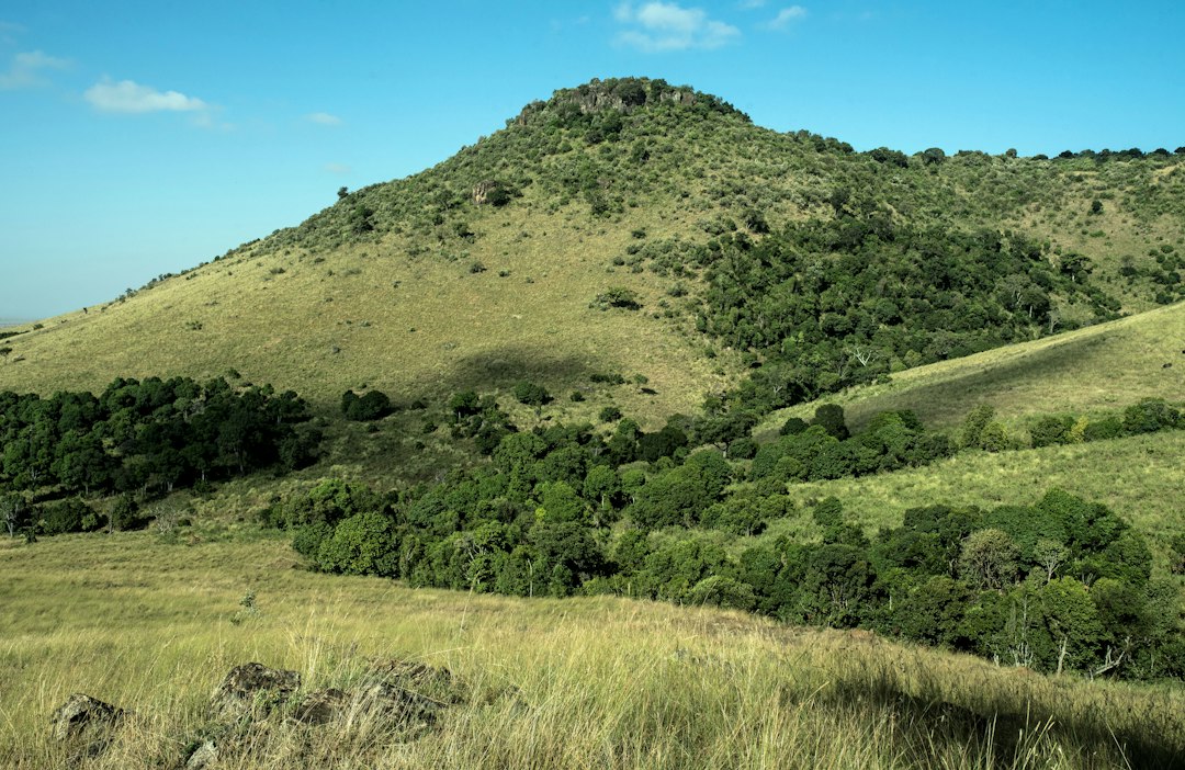 Kiambu County green landscapes