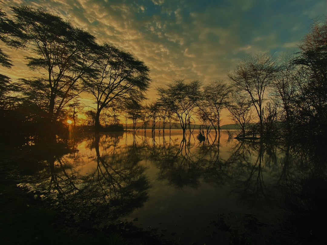 Nakuru County Lake Naivasha